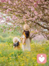 一个人愿意把脆弱交给我，不是因为我多专业，而是因为在我这里，他可以不用假装坚强。如果你也有那些说不出口的话，不用见面，不用准备，只需要点开语音——我在配图