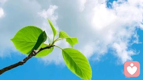 别装了，你的愤怒和悲伤，都是你主动选择的