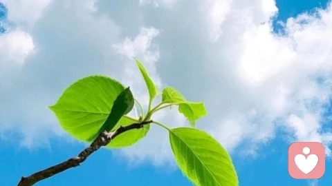 悲观不是你的错,是你太清醒了