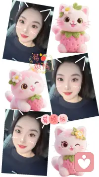 努力工作的目的是为了以后生活质量不会下降，加油年轻人