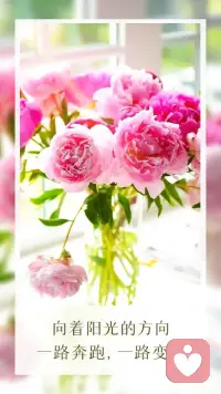 把握未来，做好现在，
将美好挂在心头，将信念放在心里。朝着阳光一路奔跑，今天浇灌希望，明日收获美好。
加油今日！