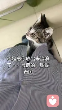 听不到你声音，有点失落感，又回到了一个人的生活配图