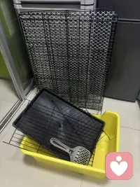 听不到你声音，有点失落感，又回到了一个人的生活配图