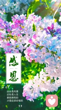 无法形容配图
