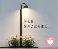 人生最好的状态：心宽、心静、心安、自在❤️