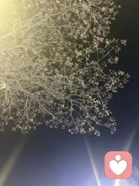 你是不是也有这样的时刻：
白天笑着应付所有人，
晚上关起门才敢把情绪放出来。
想找人说说话，
翻遍通讯录却找不到一个可以倾诉的人。
怕打扰别人，怕被说矫情，
怕说出口的委屈，变成别人眼里的小题大做。
我当过很久的倾听者，
听过太多人藏在深夜里的眼泪：
有被职场PUA到怀疑自己的姑娘，
有看着孩子哭闹却无人搭把手的妈妈，
有不敢告诉家人自己在异乡过得有多难的打工人。
其实你不需要被“解决问题”，
你只是需要一个愿意听你说话的人，
一个不会打断你、不会评判你、
只会安安静静陪着你的人。
如果你现在很难过，
如果你想找个地方说说话，
我在这里，听你慢慢说。