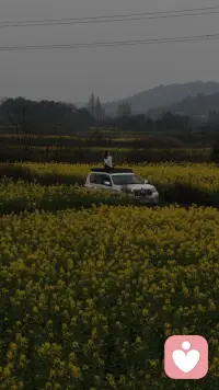 如果你累了，不妨走出来，晒晒🌞吹吹风，享受大自然的馈赠。配图