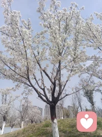 把金钱感情看淡把步子放缓把心情放松，把嘴角上扬，把眼睛闭上，让自己沉静下来，听首舒缓的音乐，亦或是安静的待一会儿，你会发现这样的生活也挺舒服的！永远相信自己是最棒的，永远把执行力放在第一，做个勇敢的人，你就是最棒的！配图