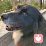 灯火阑珊的头像