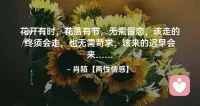 花开有时，花落有节，无需留恋，该走的终须会走，也无需苛求，该来的迟早会来…配图