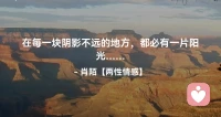 ☘️在每一块阴影不远的地方，都必有一片阳光…配图