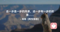 ☘️走一步是一步的风景，
     进一步有一步的欢喜…配图