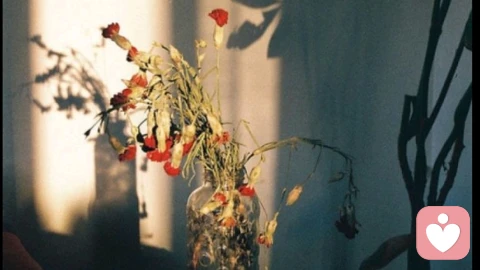 情绪共鸣的核心机制