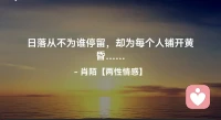 ☘️日落从不为谁停留，
     却为每个人铺开黄昏….配图