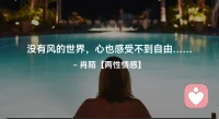☘️没有风的世界，
     心也感受不到自由…配图