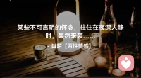 ☘️某些不可言明的怀念，
      往住在夜深人静时，
        轰然来袭…配图