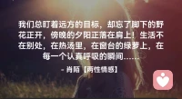 ☘️我们总盯着远方的目标，
     却忘了脚下的野花正开，
     傍晚的夕阳正落在肩上！
     生活不在别处，在热汤里，
     在窗台的绿萝上，在每一个
          认真呼吸的瞬间…配图