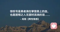 ❗️惊叹号是勇者滴在攀登路上的血，
    ☘️也是困顿之人无望时流淌的泪…配图