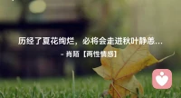 ☘️历经了夏花绚烂，
     必将会走进秋叶静恙…