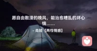 ☘️愿自由散漫的晚风，
     能治愈糟乱的坏心情…配图