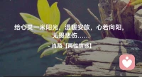 ☘️给心灵一米阳光，温暖安放，
        心若向阳，无畏悲伤…配图
