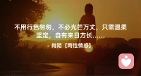 ☘️不用行色匆匆，不必光芒万丈，
      只需温柔坚定，自有来日方长…配图