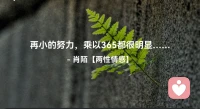 ☘️再小的努力，
     乘以365都很明显…