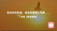 ☘️阳光好的时候，
     连发呆都算正经事…