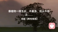 ☘️像植物一样生长，
      不着急，但从不停止…