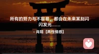 ☘️所有的努力与不容易，
     都会在未来某刻闪闪发光…配图