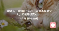 ☘️能让人一直念念不忘的，
       从来不是某个人，
          而是那份安心…配图