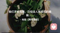 ☘️我们不怕风雨，只怕…
      没人接我们的脆弱……