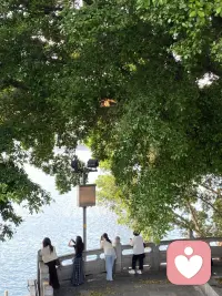 修身，齐家，治国，平天下大家都听说过，其实这段话前面还有四句，也是这段话最核心的部分——格物，致知，诚意，正心，格物的意思是思考事物的本质。这段话是出自“四书”里面《大学》的八条目——格物，致知，诚意，正心，修身，齐家，治国，平天下。这段话的前面还有三纲领——大学之道在明明德，在亲民，在止于至善，这个善是最高目标的意思，这个目标要自己思考后得出。知止而后有定，定而后能静，静而后能安，安而后能虑，虑而后能得。《大学》这本书可以作为人生哲学的指引，定一个目标，然后从思考事物的本质开始。