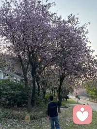 心经的核心是五蕴，色受想行事，第一个颜色的色，表示我们的五官接触外部事物，获得外部事物给我们的感觉，直觉，表象，这叫色。受呢，我喝这个咖啡觉得味道好，吃那个苦瓜觉得苦，这叫受，感受。有了苦和乐不同的感受，于是就会什么？惦念，就欲望来了，这叫想，想了以后，要达到自己愿望的目标，那叫行，这叫意志，意志要实现自己的目标，它需要辨别，区分，这叫识。色受想行识，它支配着我们的
，让我们形成了种种欲望，产生期待 焦虑 希望 恐惧 绝望等等的这个心，是业力造成的，因此叫业识。我们平常的这个心是“假的”，那要怎么做呢？应无所住，而生其心。