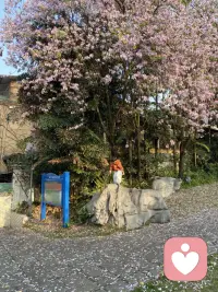 应无所住，而生其心，意思是应当在没有任何执着的地方，让真正的清净心自然生起。在魏晋之间有一个了不起的中国和尚叫僧肇，他写过一篇文字叫《宝藏论》，里边这么说，有一个人来到一个金库，就是金器的仓库，里面有种种的金器，比方说金戒指，金项链，金碗，金筷子，金条，金砖凡此种种，堆砌这仓库里，那个人进去看，看到种种的金器，然后说这个人是什么呢，“不睹众相，常观金体”，金戒指跟金项链的差别，是不是相的差别，于是金戒指不同于金项链，金碗不同于金筷子 ，这叫相的差别，那么这个人进去看到的是什么，看到的是金子本身，这叫“常观金体”“不赌众相”，把相与相的差别都削减掉了，就看到金子本身了，这个比喻很重要，他说他不是看不到相，而是不为相所惑。《金刚经》思想的核心八个字——应无所住，而生其心，现在我们知道“应无所住”的住是什么意思啊？着相，相是可观的，但是你不要停留在里面，相就是我们把世界上所有的事物和所有的人都区分出一个高低贵贱，那就叫相，还停留在这种区分里叫住相，如果你不住相了呢，本心起来，叫而生其心，这本心起来，就是这个心，见了什么，佛性，就好像那个人来到金器的仓库里看到了金子本身。