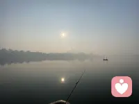 周易系辞中说：“一阴一阳之谓道。”万物由阴阳两种对立统一的力量构成，二者相互转化、依存。道德经里说反者道之动，就是每个事物都自己走向它的反面，循环往复。弱者道之用，意指 “道”以柔弱、不显露、顺势而为的方式发挥作用，弯曲才能保全。道生一，一生二，二生三，三生万物。万物负阴而抱阳，既对立又互补，包含对立面。道德经的目标是全身避害，而《庄子》作为道德经的补充，发现终究无法全身避害，以身寄天下，把小我放掉，大我与天地同。即《庄子》里说的天地与我并生，万物与我为一。配图