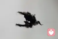 没有值得做的事，只有自己喜欢的事；事业的人生和爱情的人生都有可能会失败，只有艺术的人生不会失败。