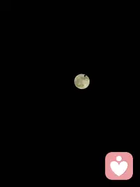 深夜的书房，
墨干了半池，
窗外只剩零星虫鸣。

没有根基的人，
就像天上的云。
风往哪吹，
心就往哪动。

对话框里的字，
打了又删。
终究还是，
什么都没说。

其实不必急于求成。

日子慢一点，
思绪淡一点，
内耗少一点。
安安静静把散出去的心神收回来，
就是在一点点重建自己。配图