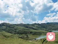 清晨，走在小溪旁边的路上，听着潺潺的流水声。
看着小鱼游来游去，而我却不知道去往何处。
迷茫就像走在大雾里的上山的路，看不清前方，也回不去来路。
蝉鸣了。一声接一声，从溪对岸的林子里传来。
原来，所有事物都有迹可循。
观察，从观心开始。