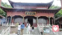 深秋的古寺，
地上洒满了落叶，
有个小和尚在打扫，
发出沙沙的摩擦声。

我在石板上坐着，
脑子里却乱得很。

内耗像一团缠在一起的线，
越解越乱，
越扯越紧。

竹摇了，
竹林里的鸟被惊起，
扑棱棱的散开了。

此刻，
接受所有事，
包括没发生的。

风过了，
竹不动了。
小和尚还在扫，
沙沙的，
一下一下。

按照现在的生命节奏走，
就是随顺。