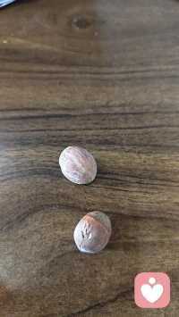 把普通的生活过得浪漫一点儿配图