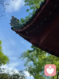 是喜欢，是很喜欢，是特别喜欢，各位早安！配图