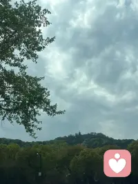 每一天都是新的希望😊
感觉变天，马上要下雨了