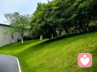 生命在于运动，健身是长寿法之一，今天的你有没有在坚持运动呢？