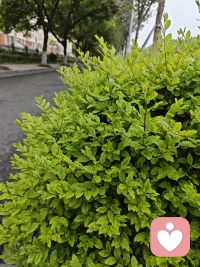 新的一周新的一天又开始了，出发了！出发！出发！搬砖开始 勤💧🤲