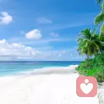 海风在倾听的头像