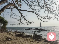 去海边吧，去晒太阳，吹海风，赤足走在沙滩上，躺在椰子树下放空吧配图