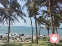 去海边吧，去晒太阳，吹海风，赤足走在沙滩上，躺在椰子树下放空吧配图