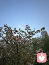 感受此刻的岁月静好配图