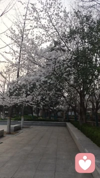 先成为自己的山，再寻找心中的海配图